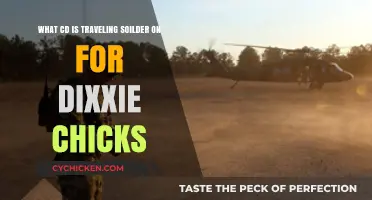Traveling Soldier: The Dixie Chicks' Homeward Bound Anthem