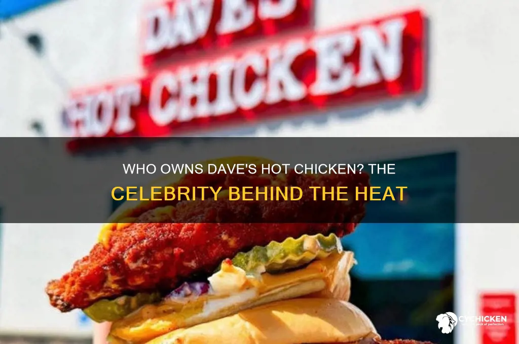 what celebrity owns dave