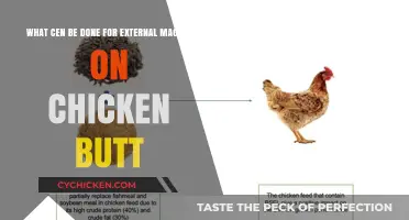 Treating External Maggots on Chicken Butts