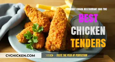 Crispy Battle: Which Chain Restaurant Serves the Ultimate Chicken Tenders?
