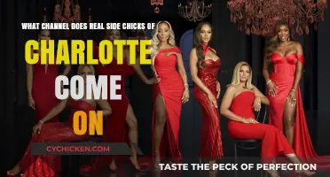 Where to Watch: Real Side Chicks of Charlotte