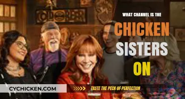 Catch The Chicken Sisters: Find the Right Channel to Watch