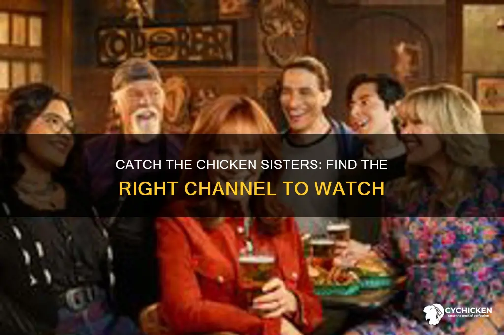 what channel is the chicken sisters on