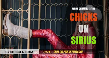 Find The Chicks on Sirius XM: Channel Guide for Fans