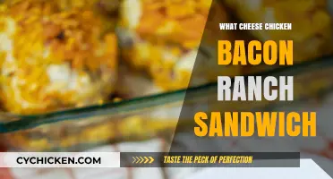 Cheesy Chicken Bacon Ranch Sandwich: A Flavorful, Easy-to-Make Delight