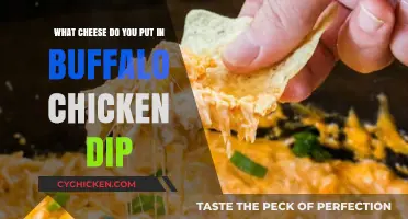 Cheese Options for Buffalo Chicken Dip