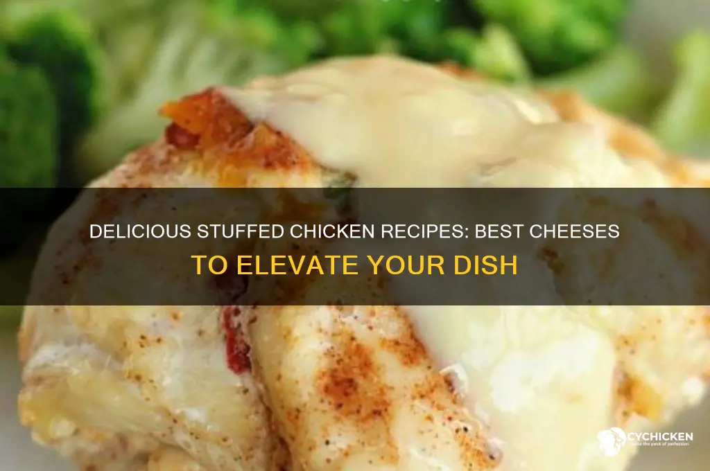 what cheese do you stuff chicken with