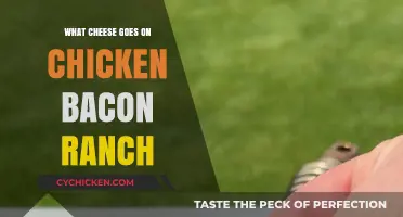 Perfect Cheese Pairings for Chicken Bacon Ranch Dishes: Top Picks