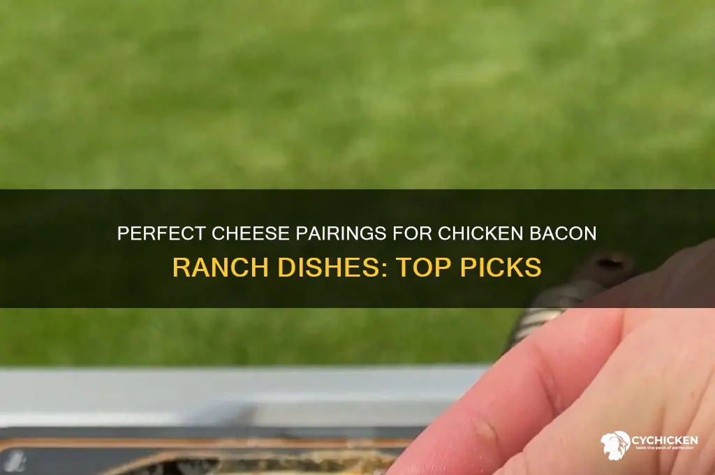 what cheese goes on chicken bacon ranch