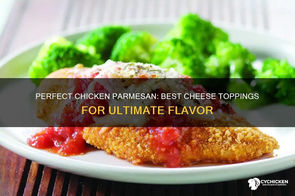 what cheese goes on top of chicken parmesan