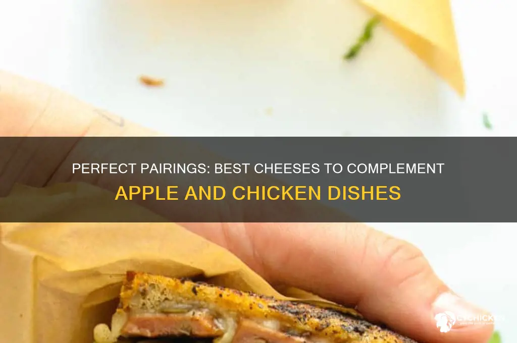 what cheese goes with apple and chicken