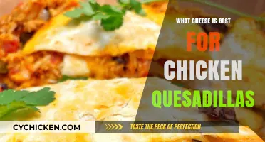 Top Cheeses to Elevate Your Chicken Quesadilla Game Perfectly
