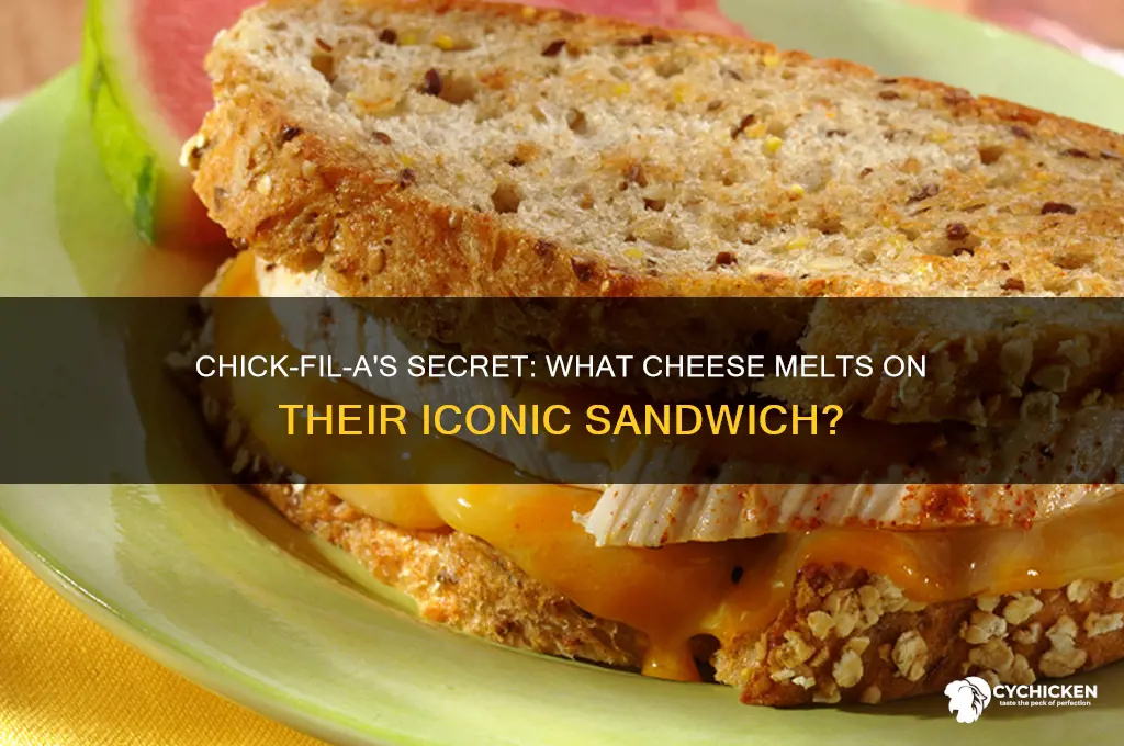 what cheese is on chick fil a sandwich