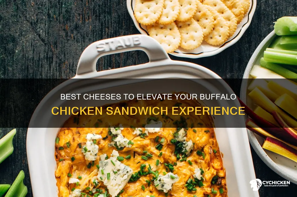 what cheesr is besy with buffalo chicken sandwiches
