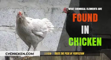 Chemical Elements in Chicken: Unveiling the Surprising Composition of Poultry