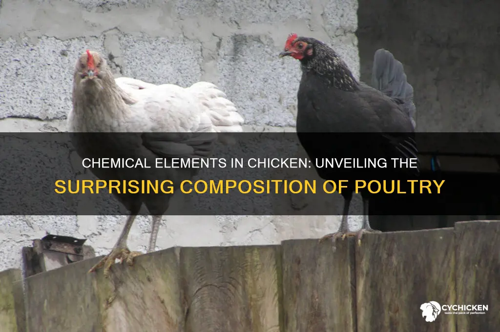 what chemical elements are found in chicken