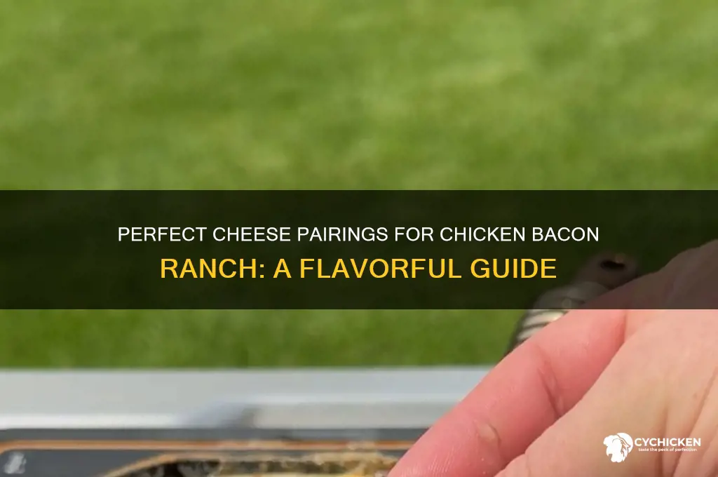 what chesse goes with chicken bacon ranch