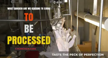 Chicken Processing: China's Trade Secrets
