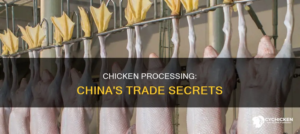 what chicken are we sending to china to be processed