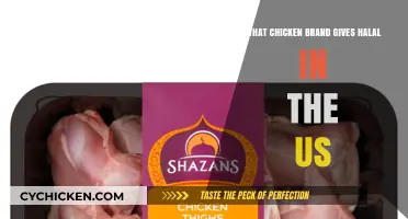 Top Halal Chicken Brands in the US: A Comprehensive Guide