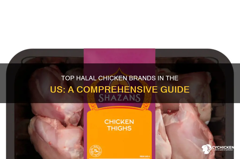 what chicken brand gives halal in the us