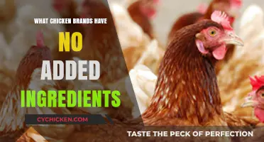 Pure Poultry: Top Chicken Brands with No Added Ingredients