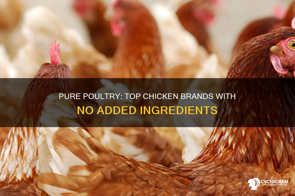 what chicken brands have no added ingredients
