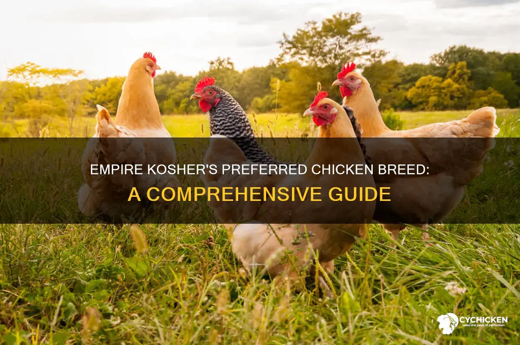 what chicken breed is raised by empire kosher
