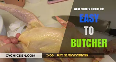 Simple Butchering: Top Chicken Breeds for Hassle-Free Processing