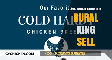 Discover Rural King's Chicken Breeds: A Guide for Poultry Enthusiasts