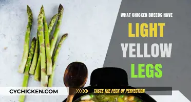 Discover Chicken Breeds with Light Yellow Legs: A Comprehensive Guide
