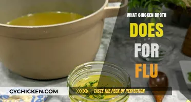 Boost Your Flu Recovery: The Surprising Benefits of Chicken Broth