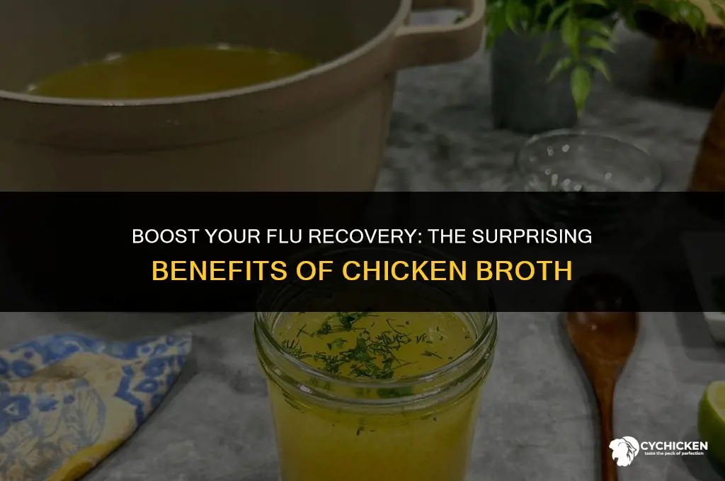 what chicken broth does for flu