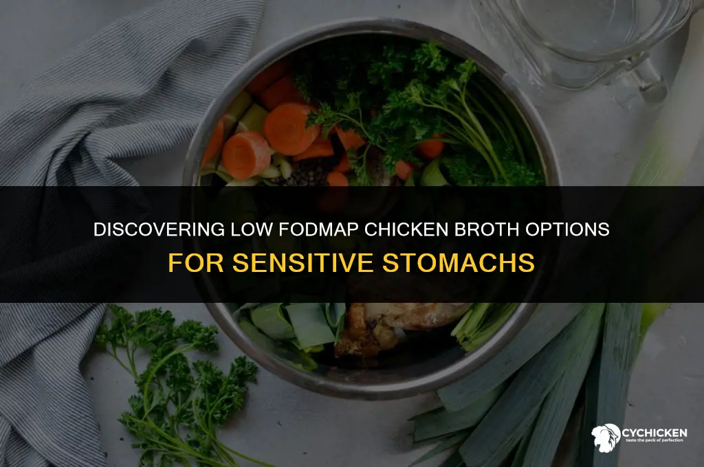 what chicken broth is low fodmap