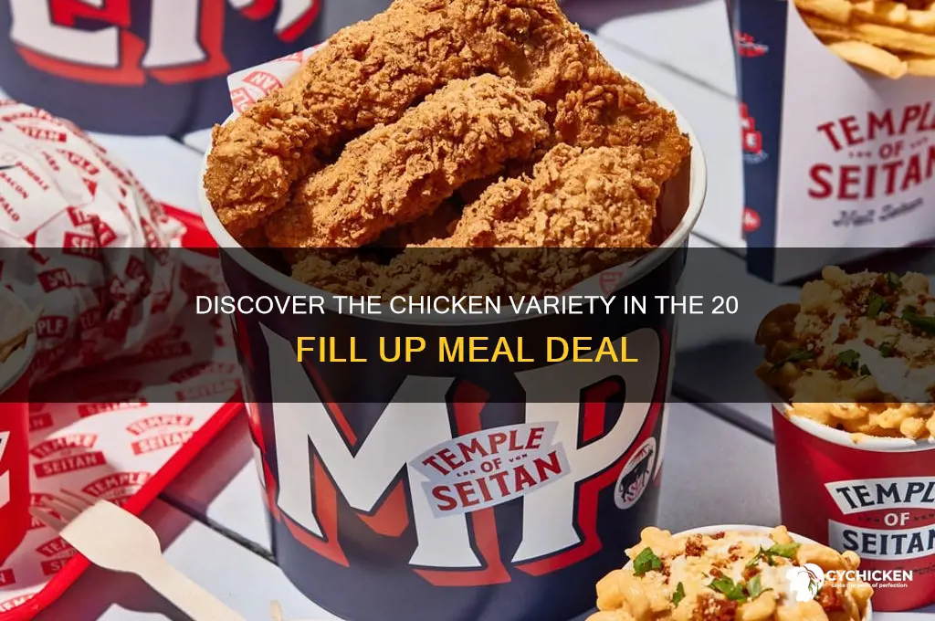 what chicken comes in the 20 fill up
