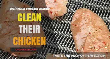 Chlorine-Washed Chicken: Which Companies Use This Controversial Practice?