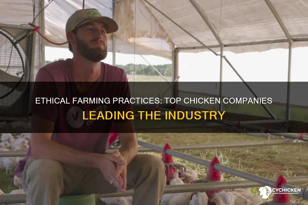 what chicken companies have the best farming practice