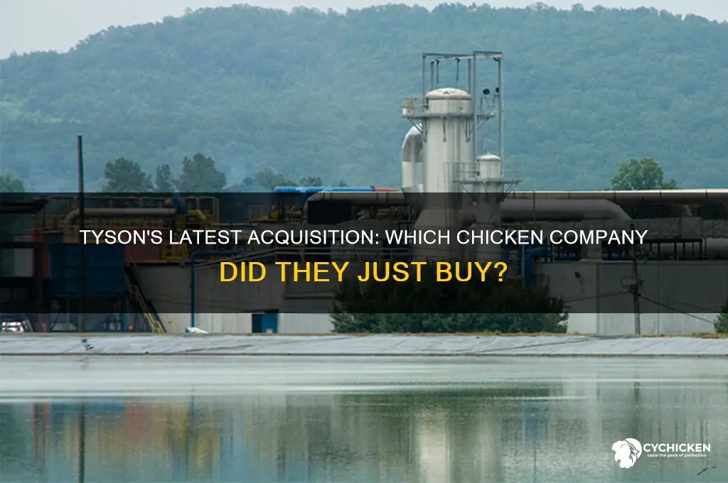 what chicken company did tyson just acquire