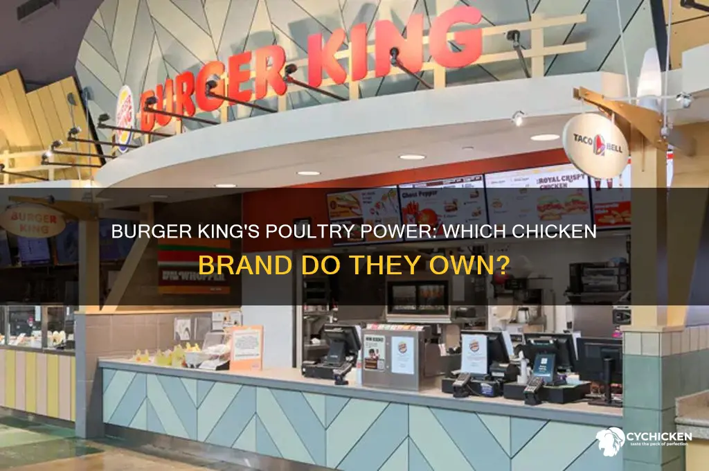 what chicken company does burger king own