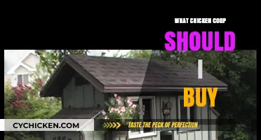 Choosing the Perfect Chicken Coop: A Buyer's Guide for Happy Hens