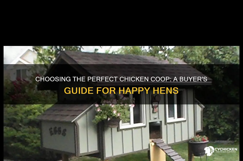 what chicken coop should i buy