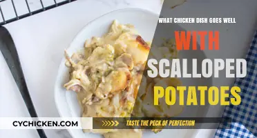 Perfect Pairing: Delicious Chicken Dishes to Complement Scalloped Potatoes