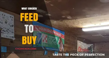 Choosing the Best Chicken Feed: A Comprehensive Guide for Poultry Owners