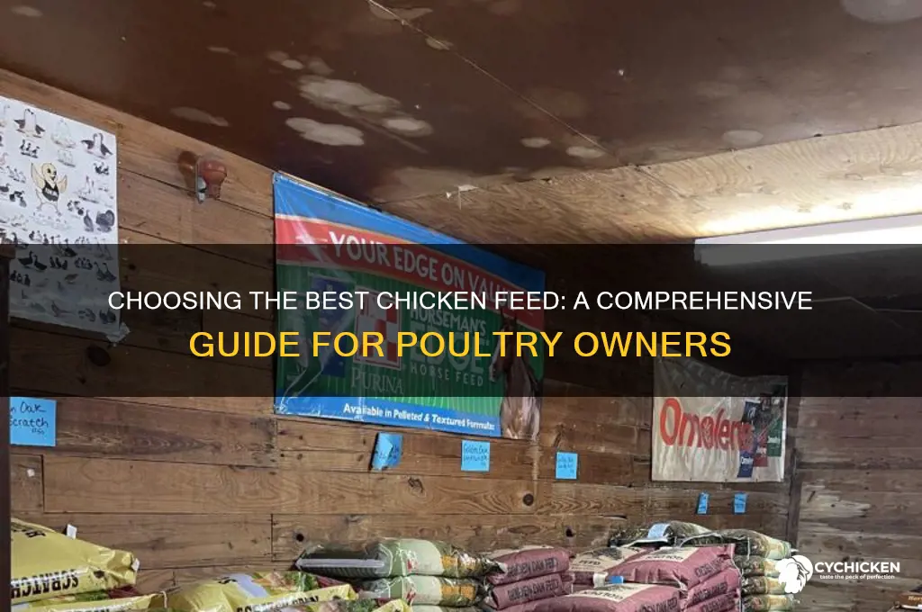 what chicken feed to buy