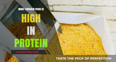 Top High-Protein Chicken Feed Options for Optimal Flock Health