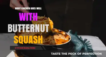 Perfect Pairing: Best Chicken Recipes to Complement Butternut Squash Dishes