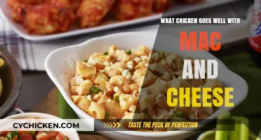 Perfect Pairings: Best Chicken Recipes to Complement Creamy Mac and Cheese