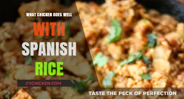 Perfect Chicken Pairings for Spanish Rice: Flavorful Matches to Try