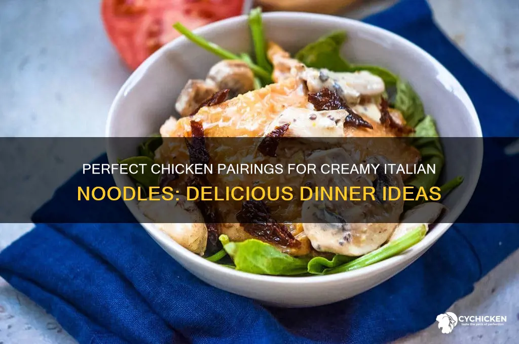 what chicken goes with creamy italian noodles