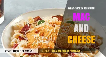 Perfect Pairing: Best Chicken Recipes to Complement Creamy Mac and Cheese